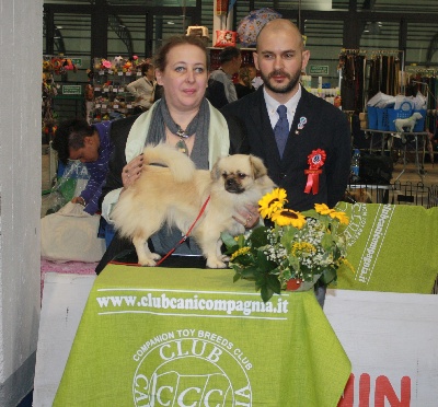 du Domaine de Fregate - RADUNO DEL GIUBILE  50EME CLUB CANI COMPAGNIA LUCCA 29 SEPTEMBRE