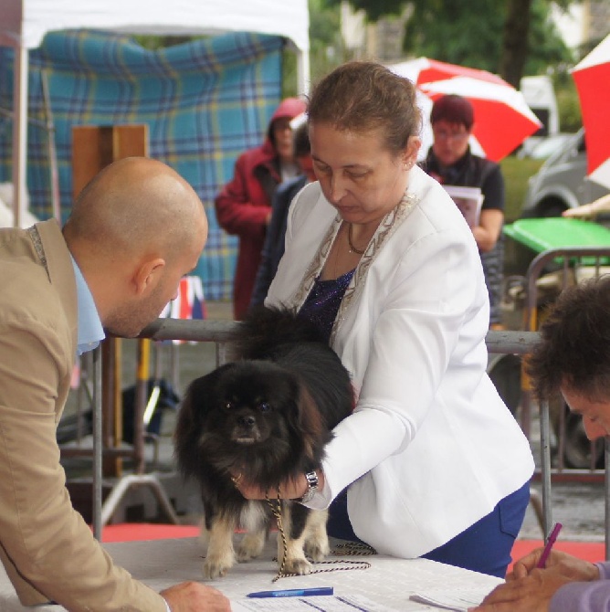 du Domaine de Fregate - EXPOSITION INTERNATIONALE DE BRIVE