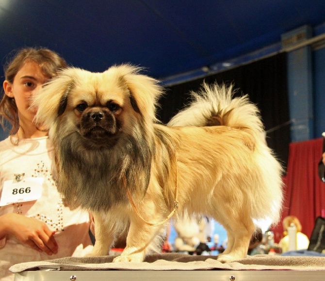 du Domaine de Fregate - MONACO 4 MAI