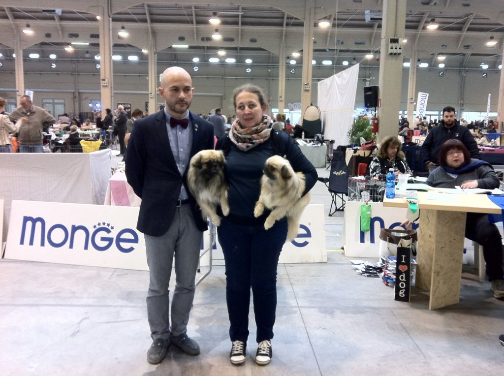 du Domaine de Fregate - CACIB DE ALESSANDRIA EN ITALIE LE DOUBLE POUR LASYA ET LEWIS